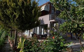 Aelia Home